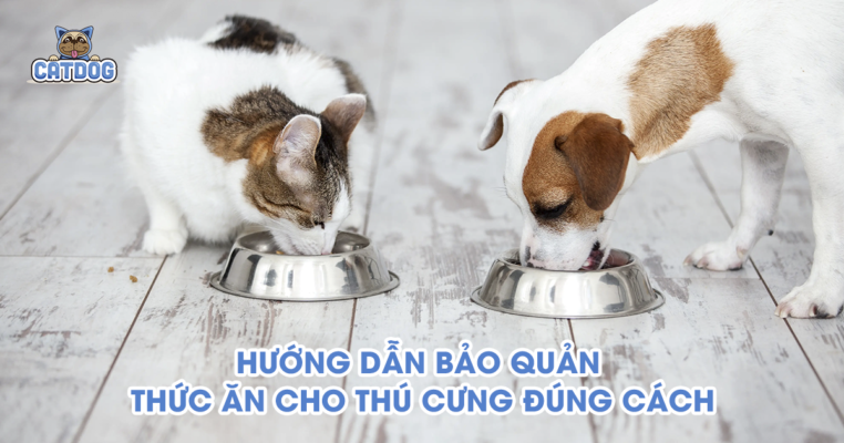 Hướng dẫn bảo quản thức ăn chó mèo đúng cách