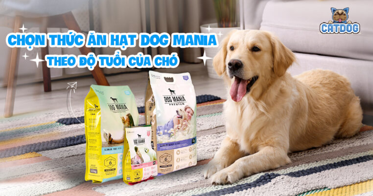 Chọn thức ăn hạt Dog Mania cho chó phù hợp theo độ tuổi