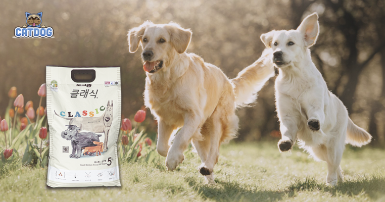 THỨC ĂN CHO CHÓ DOG CLASSIC CÓ TỐT KHÔNG?