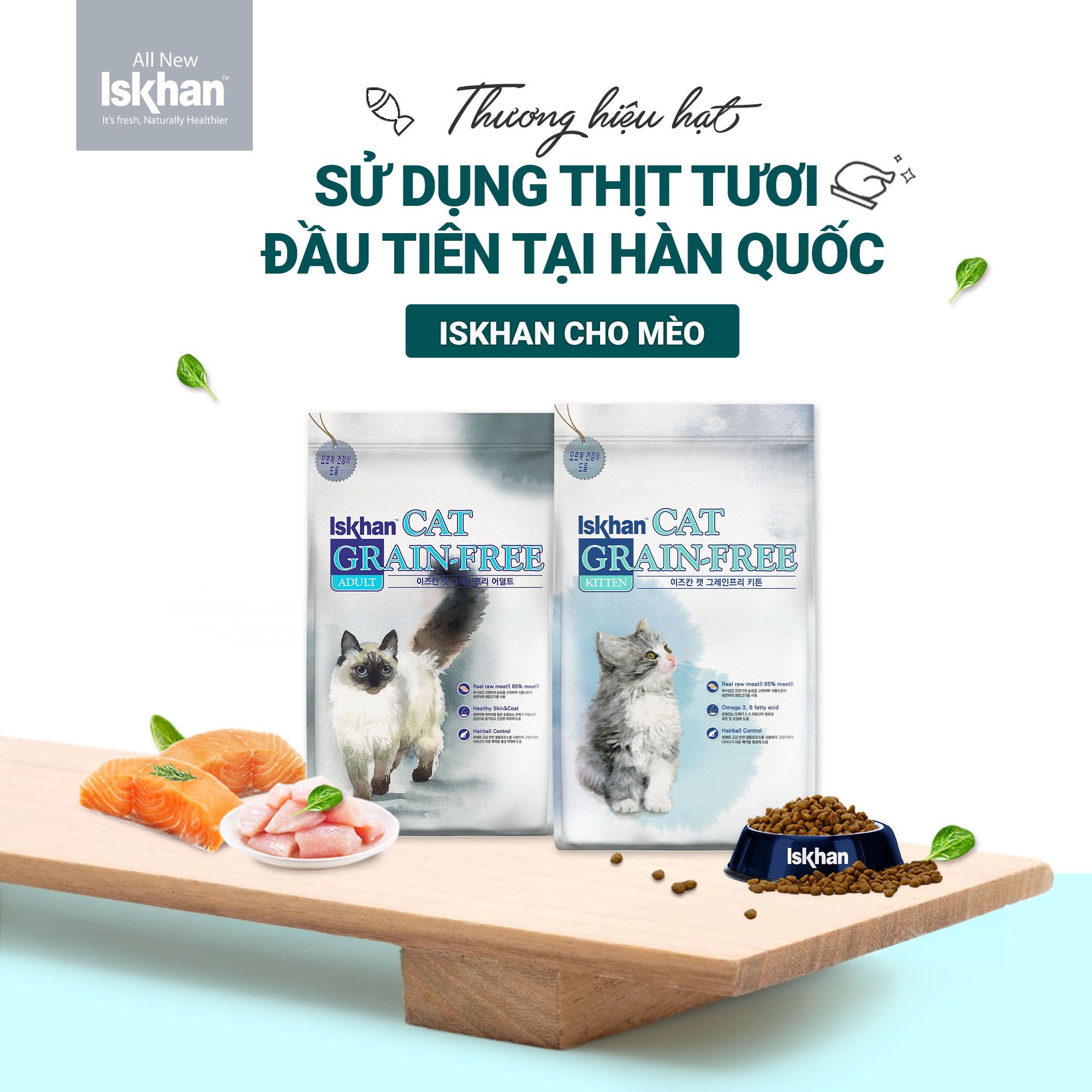 Catdogvn-iskhan-cat-kitten-3