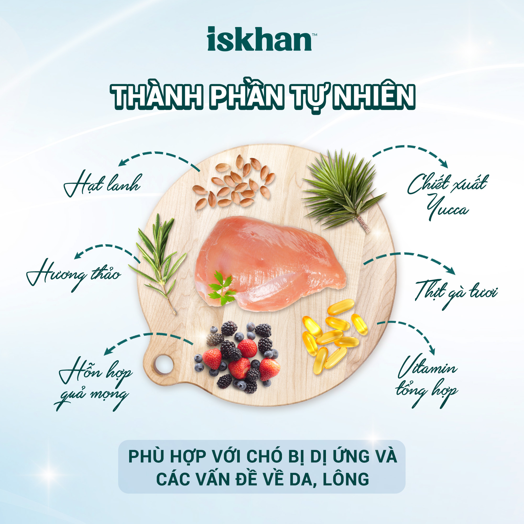 Fusiongroupvn-iskhan-dog-allergy-free-3