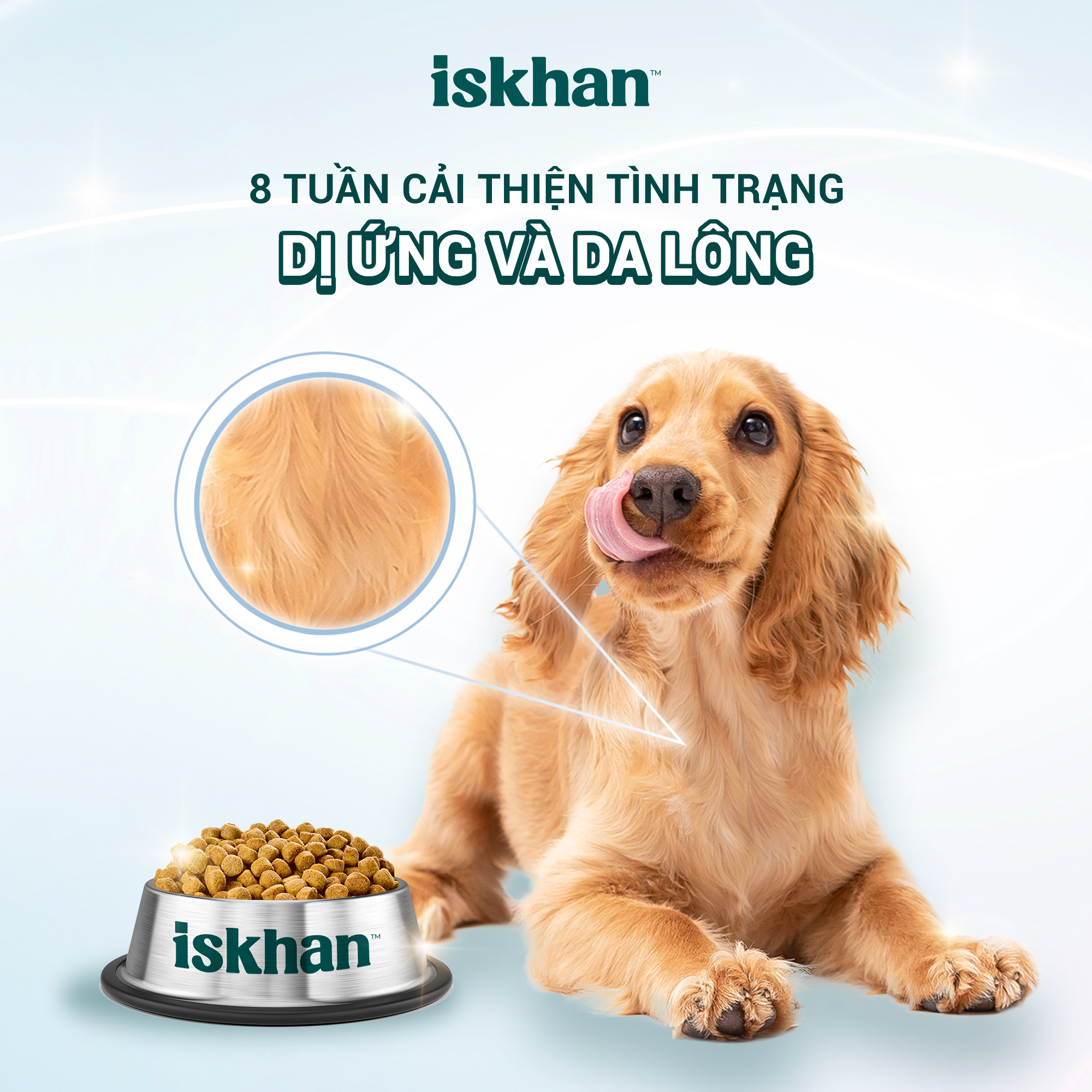 Fusiongroupvn-iskhan-dog-allergy-free-4